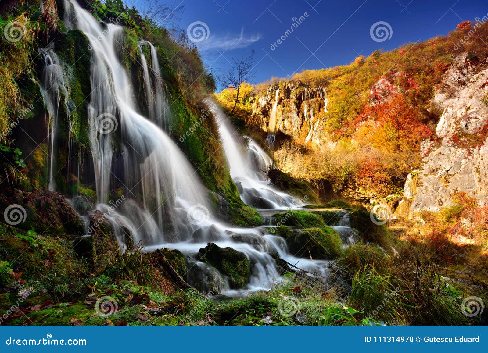 autumn landscape in plitvice lakes national park, croatiaÃ¢â¬Å½